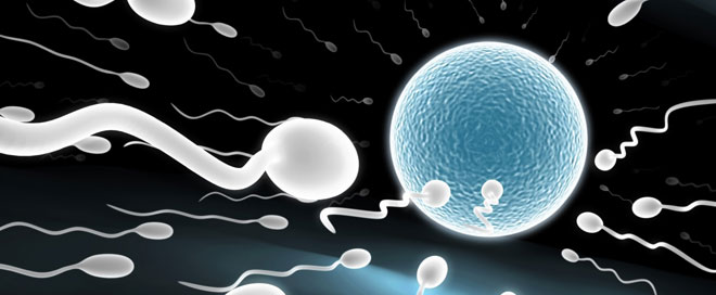 Questions les plus frÃ©quentes au sujet de l'ovulation et les jours fertiles